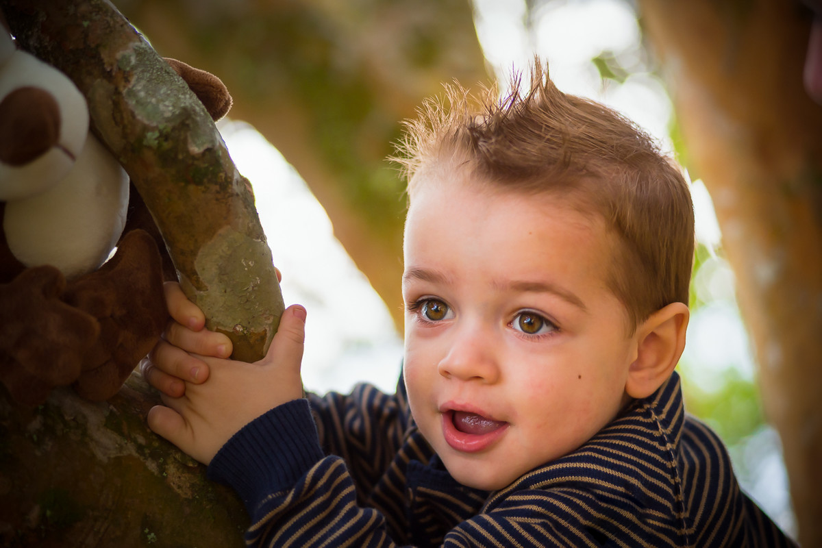 Ensaio Bernardo - 2 Anos