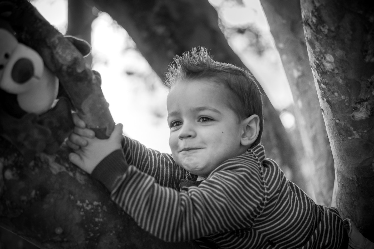 Ensaio Bernardo - 2 Anos