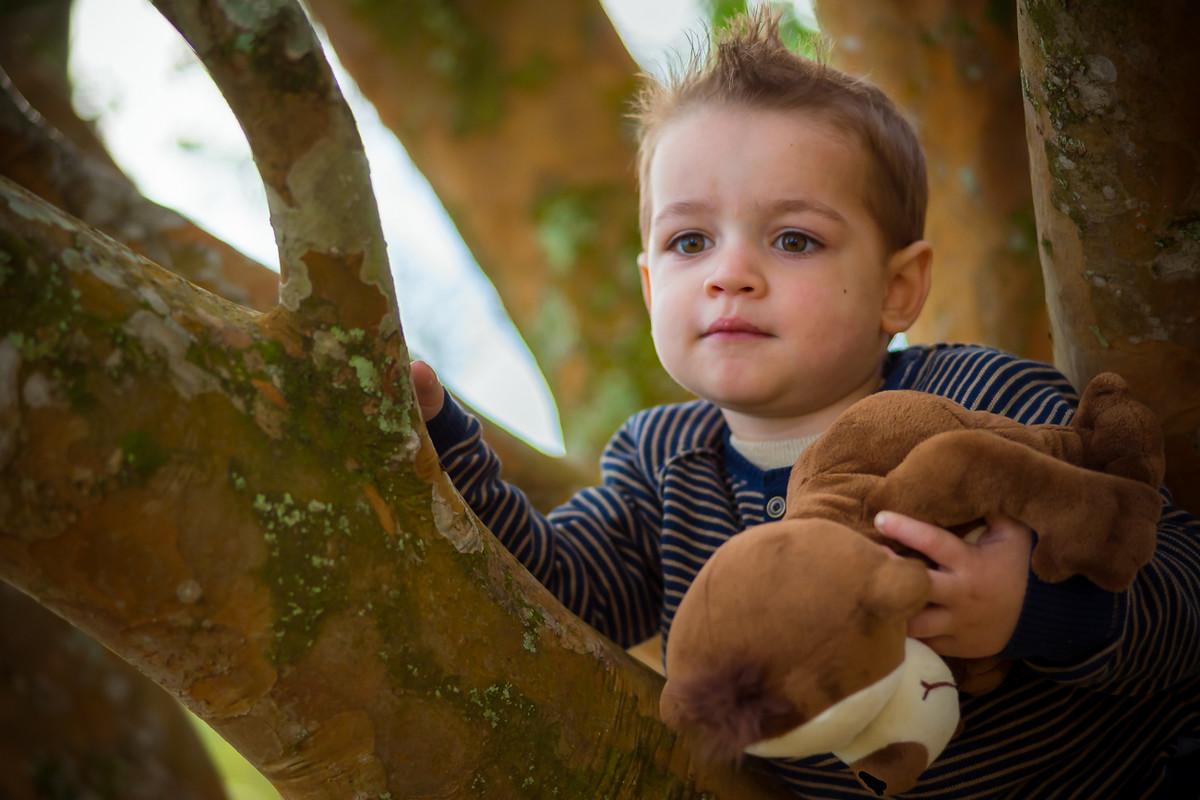 Ensaio Bernardo - 2 Anos