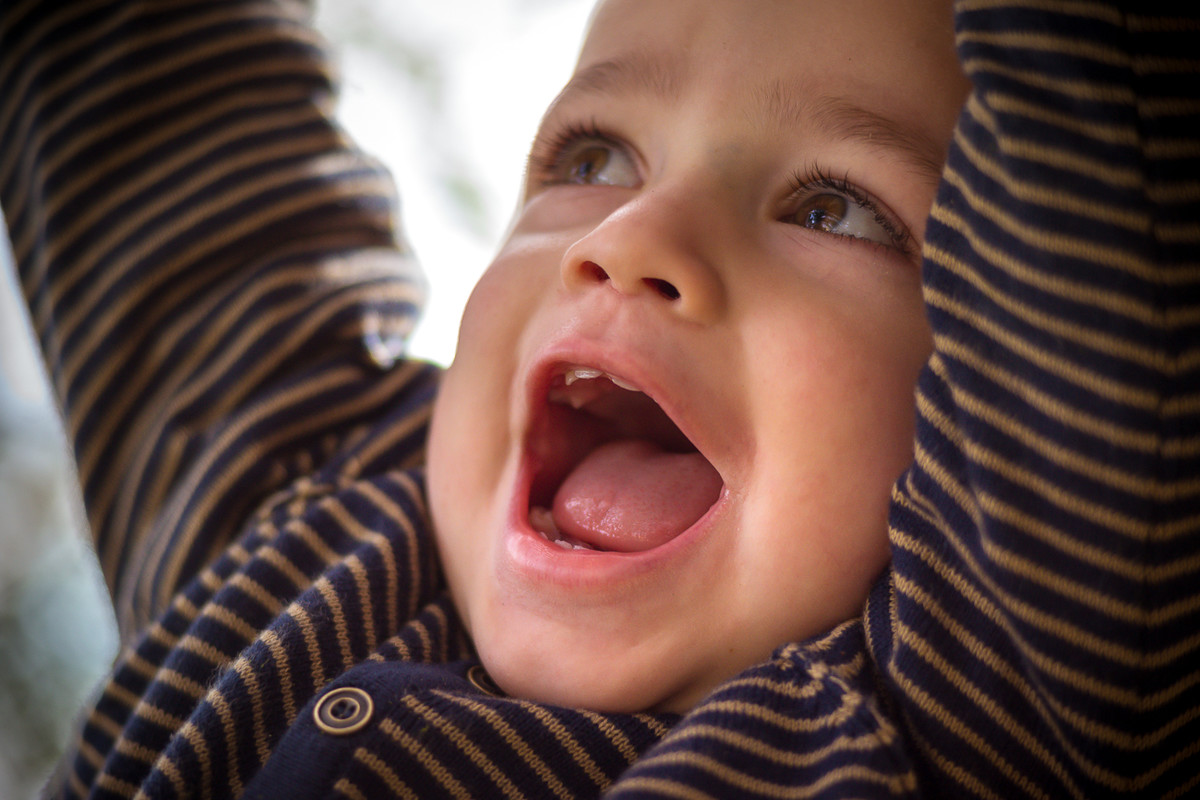 Ensaio Bernardo - 2 Anos