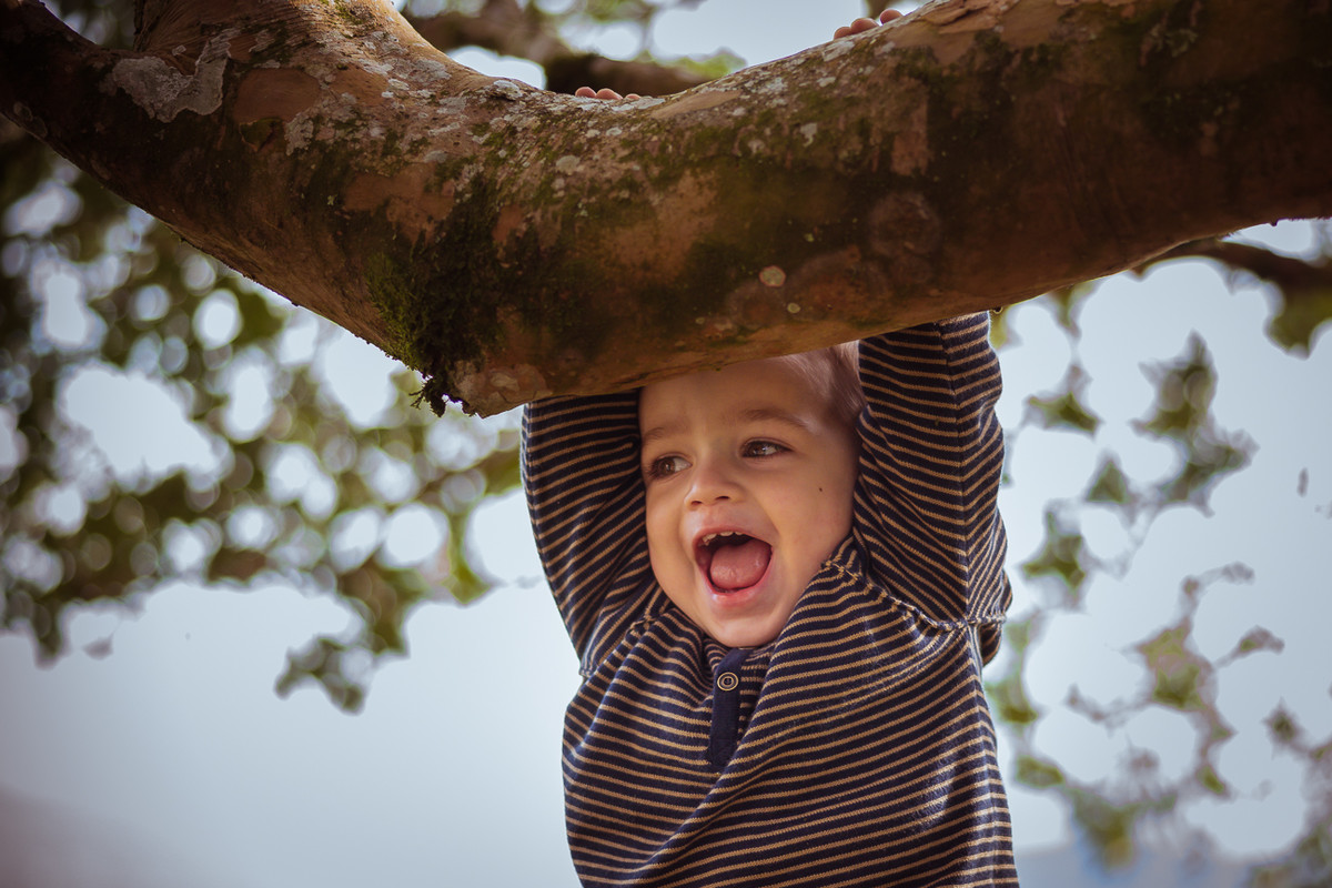 Ensaio Bernardo - 2 Anos