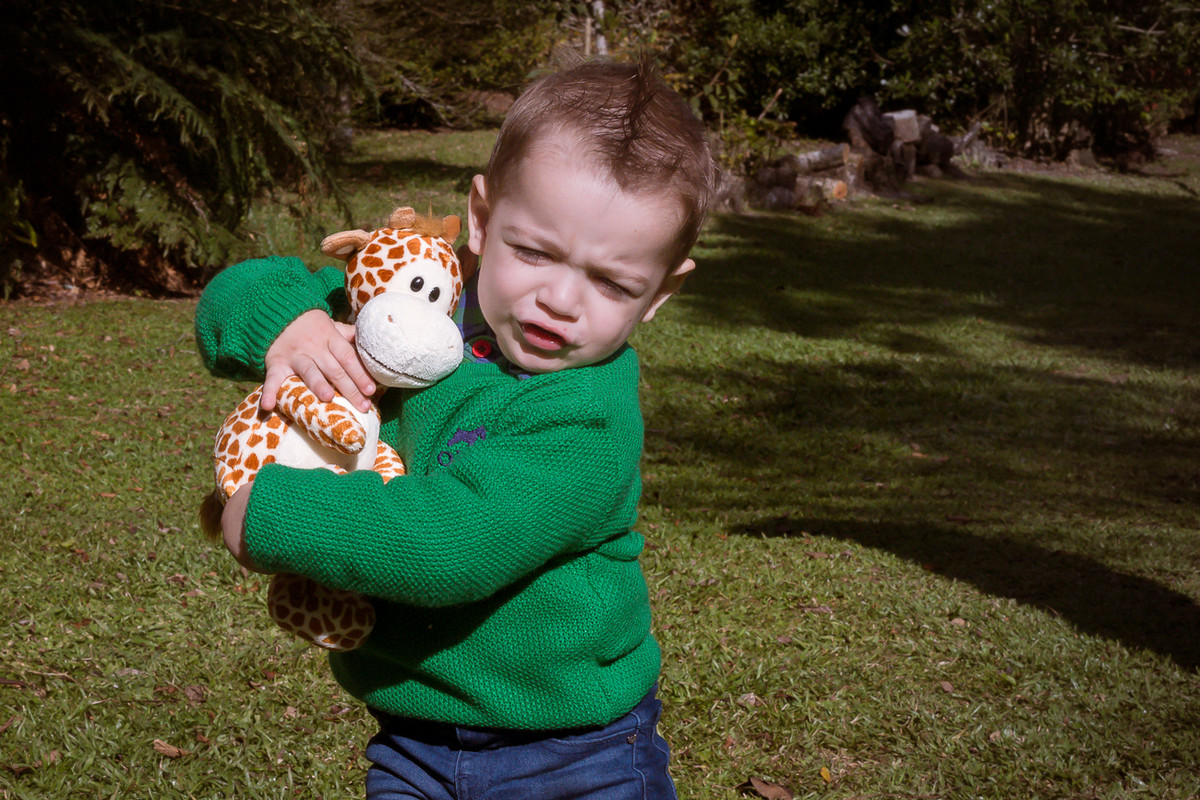 Ensaio Bernardo - 2 Anos
