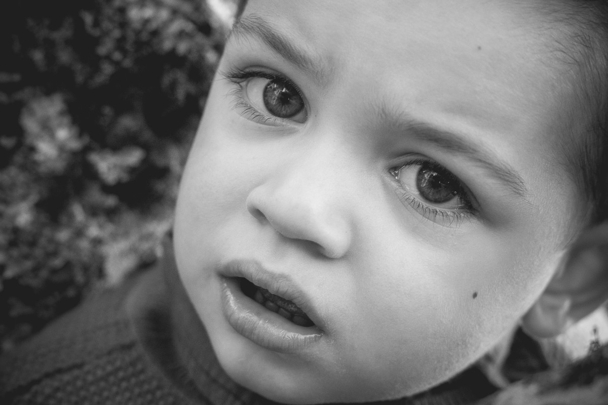 Ensaio Bernardo - 2 Anos