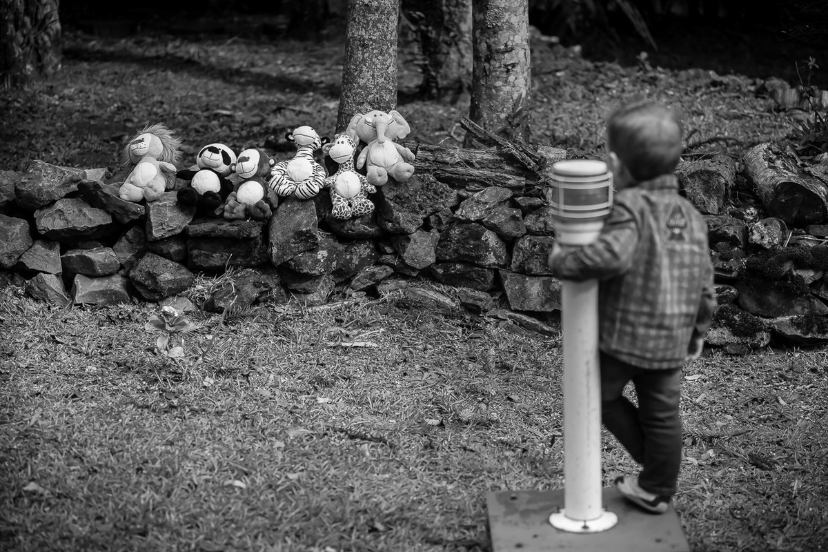 Ensaio Bernardo - 2 Anos