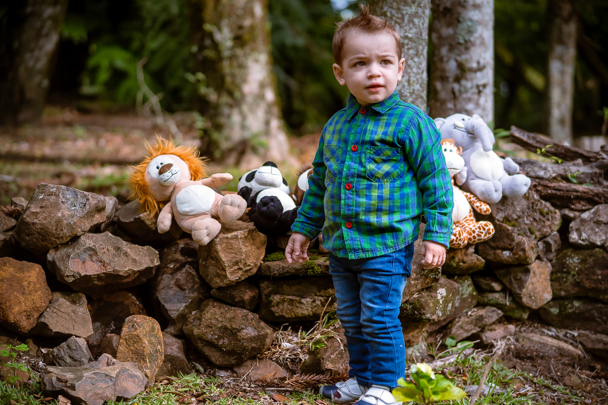 Ensaio Bernardo - 2 Anos