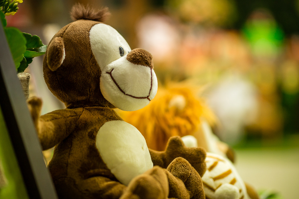 Festa Bernardo - 2 Anos