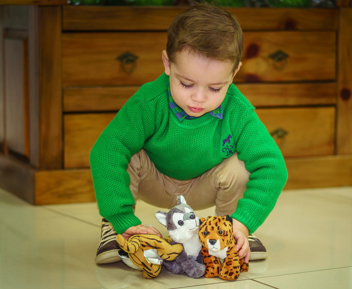 Festa Bernardo - 2 Anos