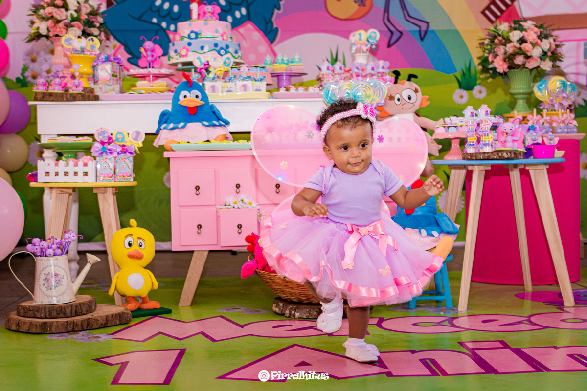 festa infantil com tema galinha pintadinha no rio de janeiro, fotografia especializada de Pirralhitus.