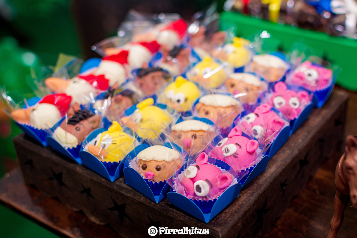 doces decorativos na mesa do bolo, tema fazendinha.