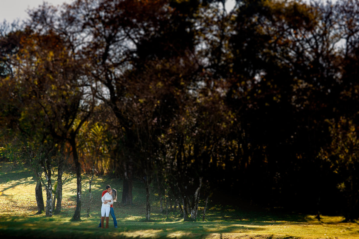 casal se abraçando entre ás árvores