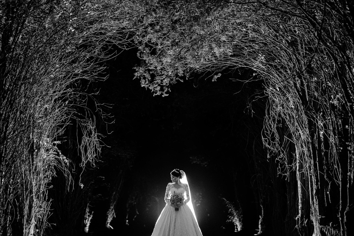 noiva no corredor de árvores