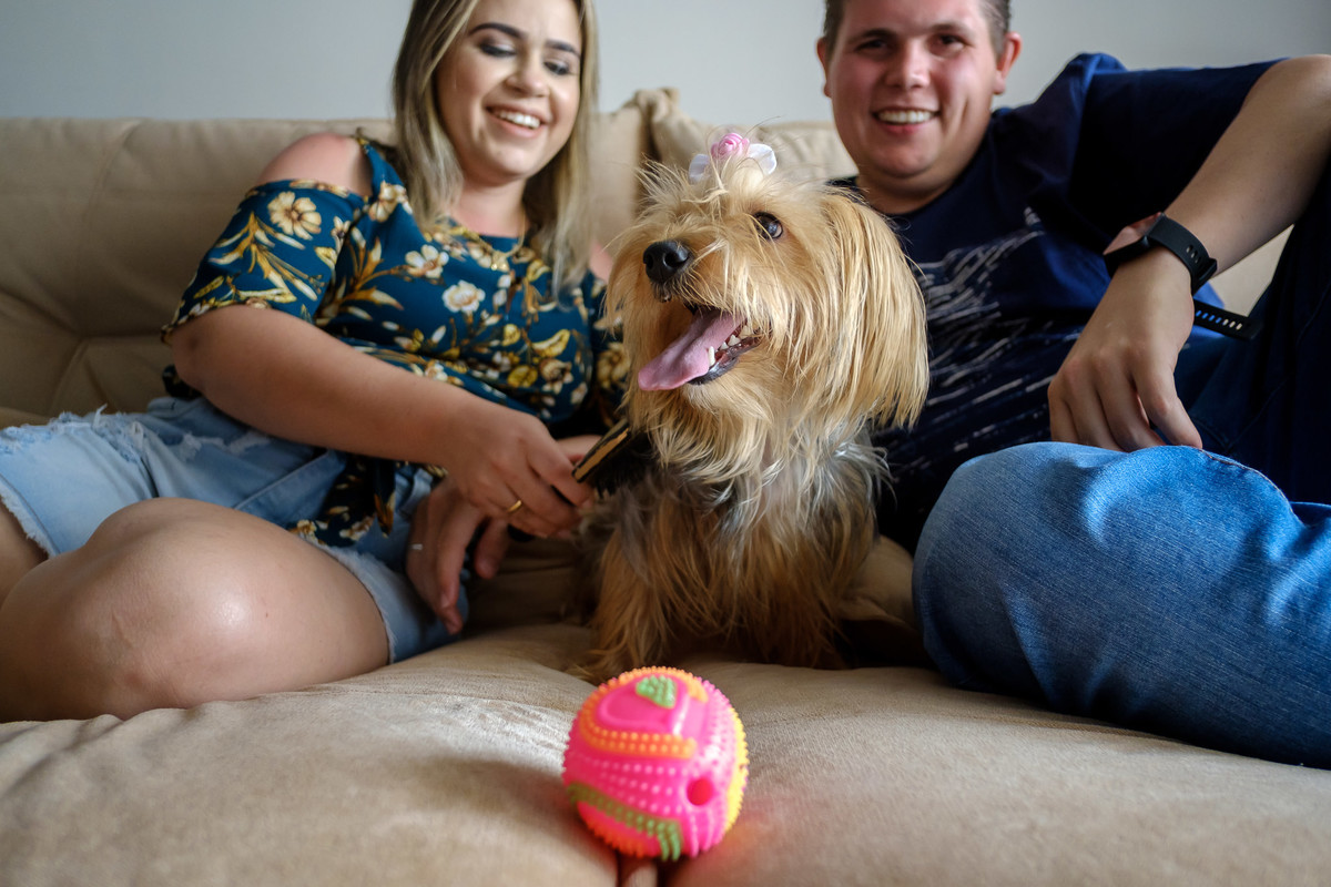 noivos em casa brincando com sua cachorrinha de estimação