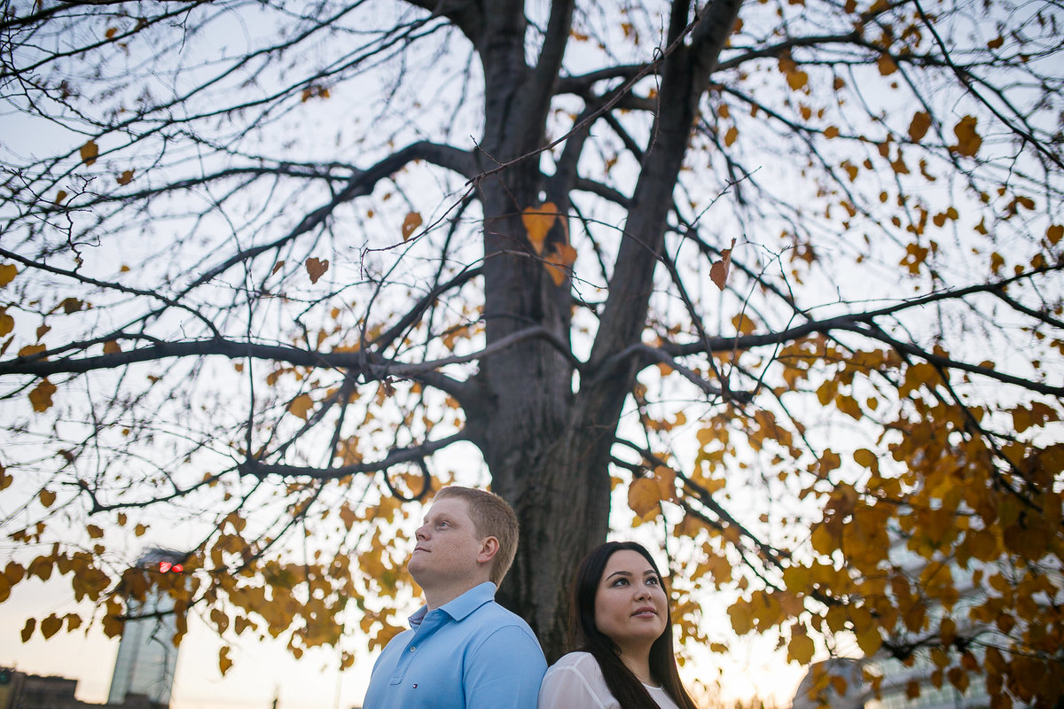casal olhando para o horizonte embaixo da árvore