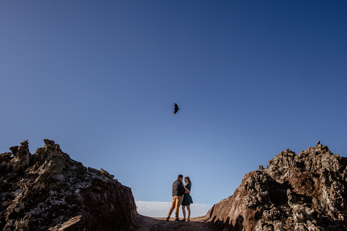 noivos abraçados sob o pássaro