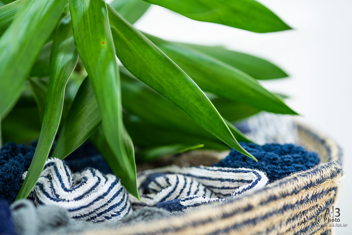 fotografia de imóveis, casa da chris guarajuba, foto de imóveis em guarajuba, fotos de imóveis na bahia, foto de imóveis em alphaville, fotografia de imóveis em alphaville, fotografia de imoveis na bahia, fotografia de arquitetura em alphaville