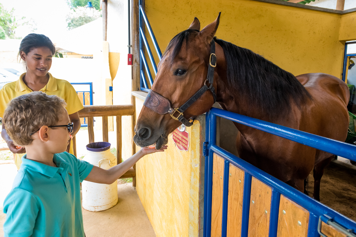 foto aniversário infantil no Pet Zoo, aniversário infantil no Pet Zoo, fotografia de aniversário infantil no Pet Zoo, aniversário no parque, aniversário no zoo, aniversário na fazenda, aniversário com animais, foto an iversário em Cotia, cavalo