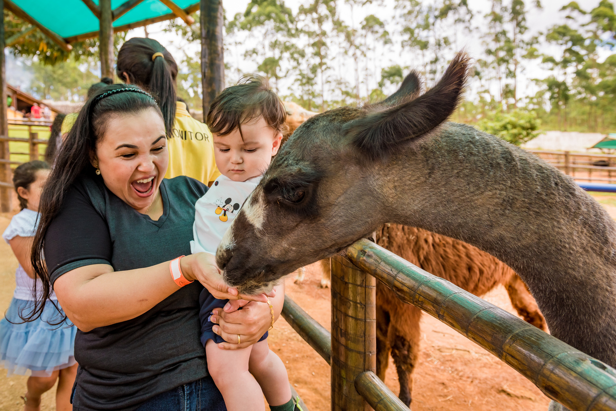 foto aniversário infantil no Pet Zoo, aniversário infantil no Pet Zoo, fotografia de aniversário infantil no Pet Zoo, aniversário no parque, aniversário no zoo, aniversário na fazenda, aniversário com animais, foto an iversário em Cotia, lhama