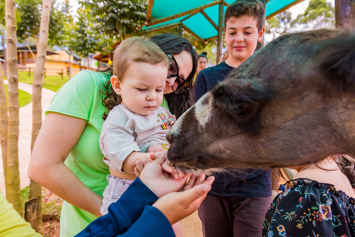 foto aniversário infantil no Pet Zoo, aniversário infantil no Pet Zoo, fotografia de aniversário infantil no Pet Zoo, aniversário no parque, aniversário no zoo, aniversário na fazenda, aniversário com animais, foto an iversário em Cotia, lhama
