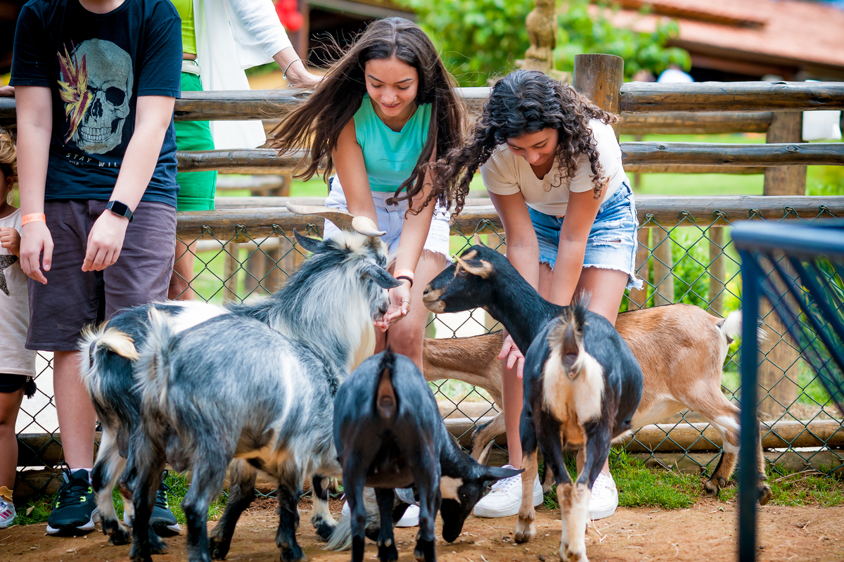 foto aniversário infantil no Pet Zoo, aniversário infantil no Pet Zoo, fotografia de aniversário infantil no Pet Zoo, aniversário no parque, aniversário no zoo, aniversário na fazenda, aniversário com animais, foto an iversário em Cotia, caprino
