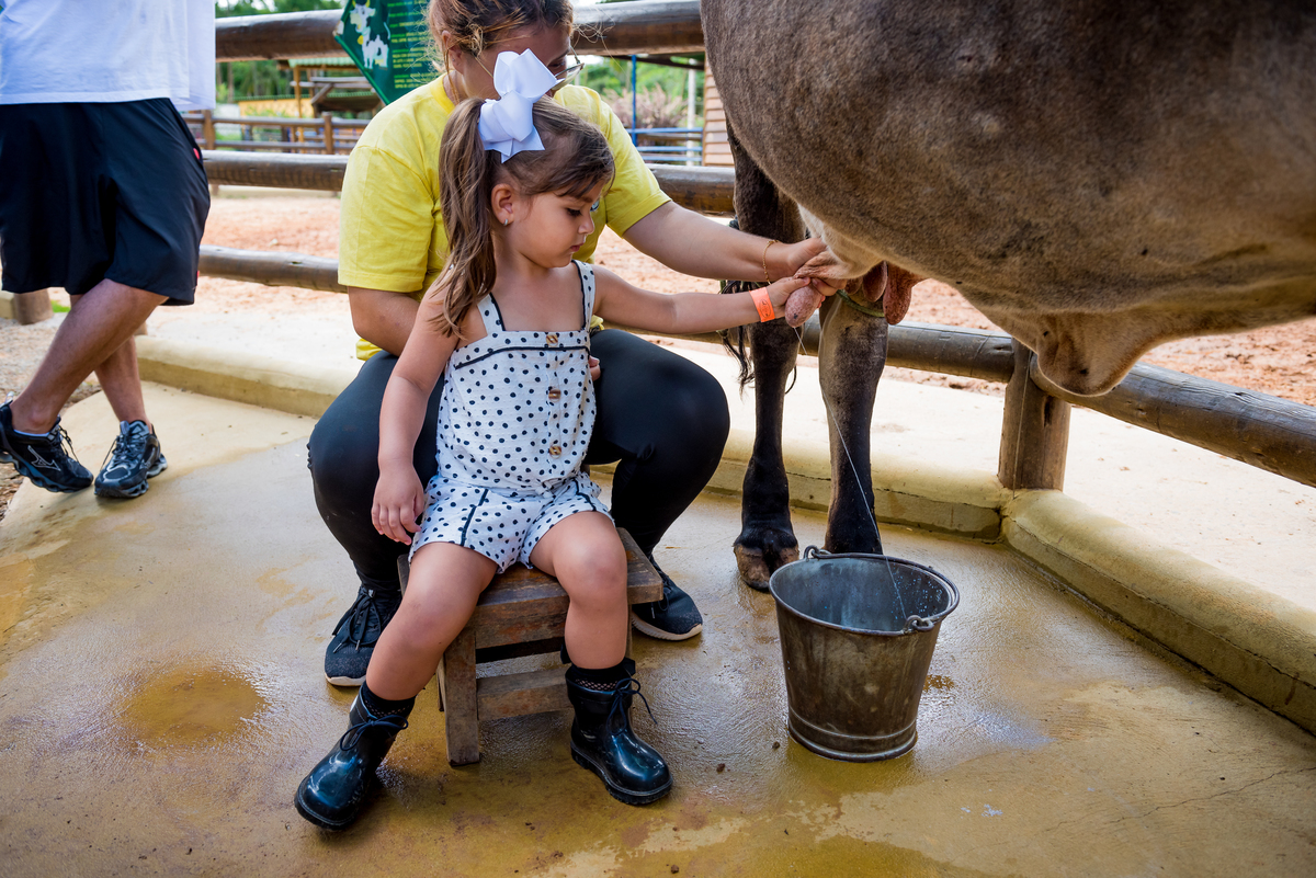 foto aniversário infantil no Pet Zoo, aniversário infantil no Pet Zoo, fotografia de aniversário infantil no Pet Zoo, aniversário no parque, aniversário no zoo, aniversário na fazenda, aniversário com animais, foto aniversário em Cotia, ordenha