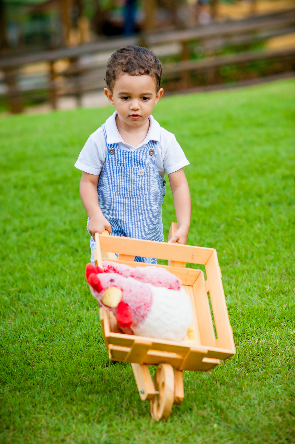foto aniversário infantil no Pet Zoo, aniversário infantil no Pet Zoo, fotografia de aniversário infantil no Pet Zoo, aniversário no parque, aniversário no zoo, aniversário na fazenda, aniversário com animais, foto an iversário em Cotia