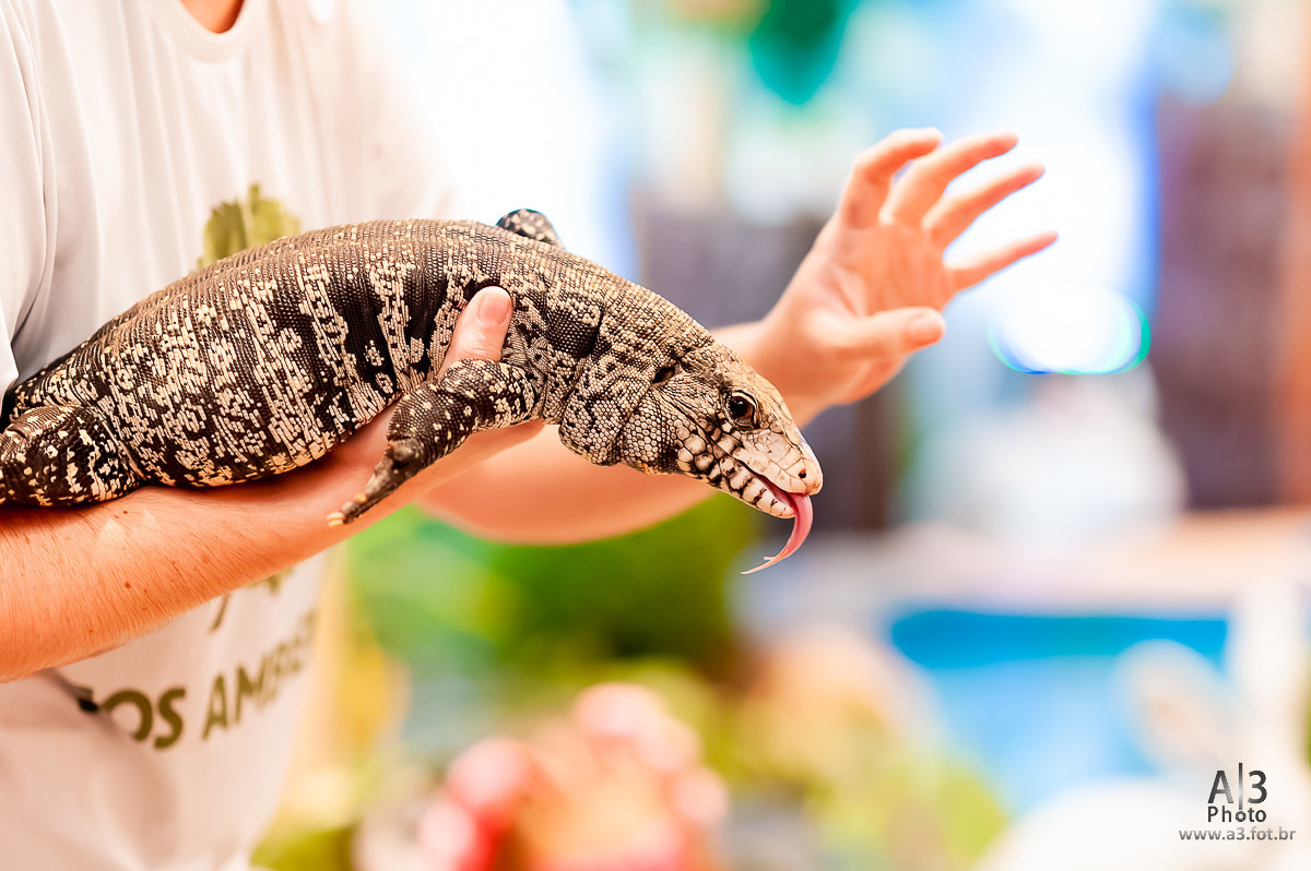 aniversário infantil, buffet estação diversão, estação diversão, estação diversão alphaville, estação diversão buffet, foto aniversário infantil, foto aniversário infantil alphaville, foto aniversário infantil no buffet estação diversão