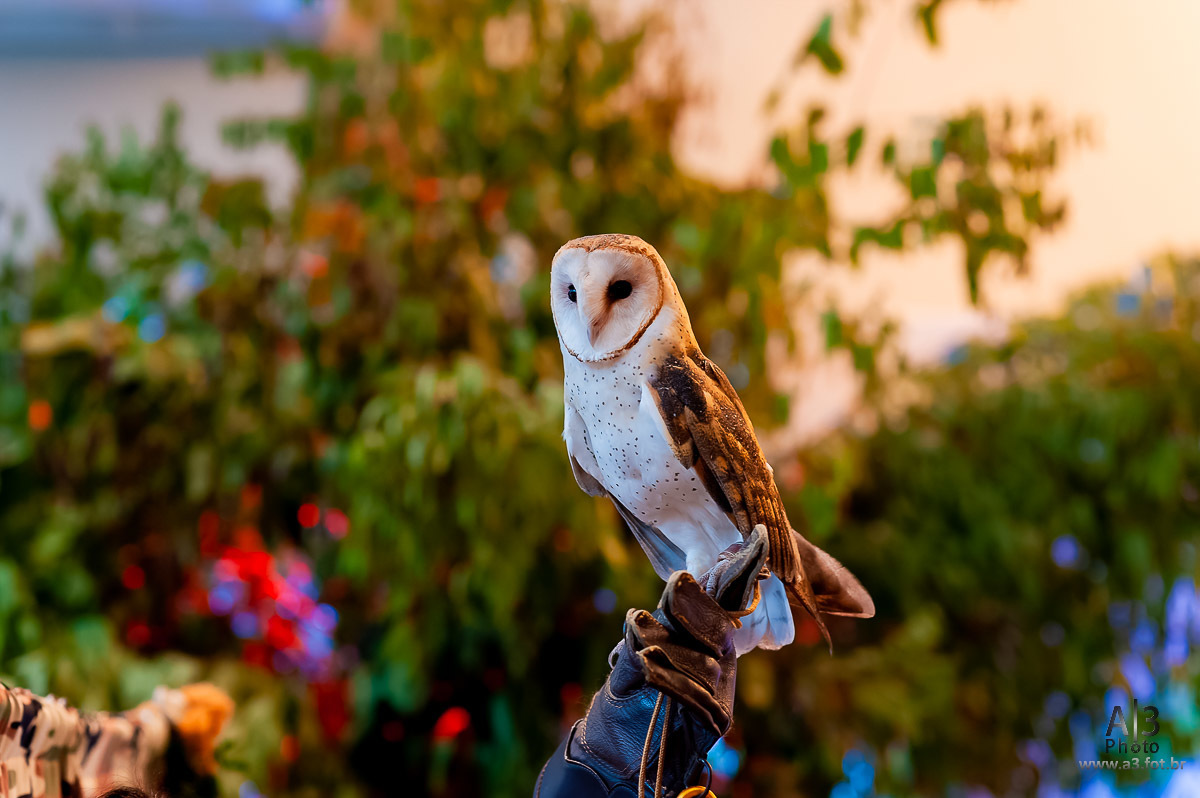 aniversário infantil, buffet estação diversão, estação diversão, estação diversão alphaville, estação diversão buffet, foto aniversário infantil, foto aniversário infantil alphaville, foto aniversário infantil no buffet estação diversão