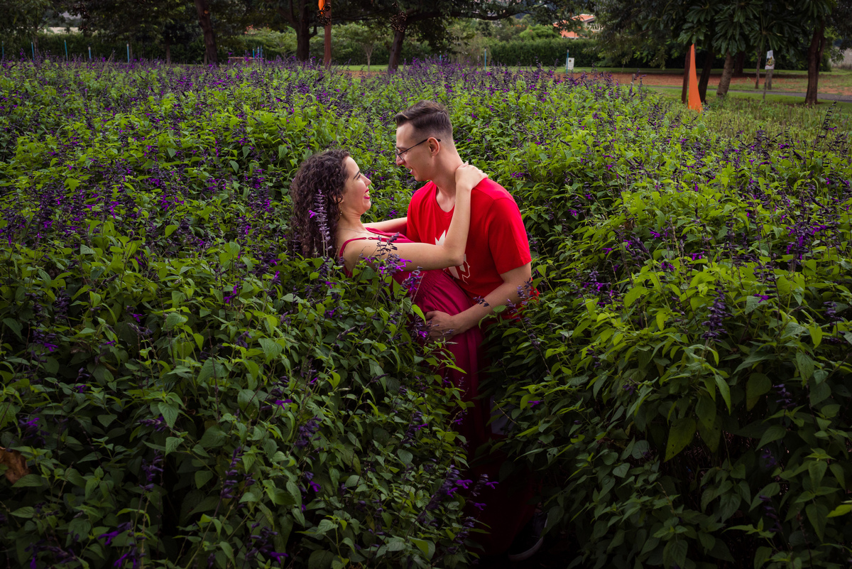 Ensaio Pré-wedding Holambra, Ensaio Pré-wedding com flores, Ensaio Pré-wedding com girassóis, Ensaio Pré-wedding em alphaville, Ensaio Pré-wedding em são paulo, ensaio de casal em holambra, fotos de ensaio de casal com flores em holambra, fotos de casal  