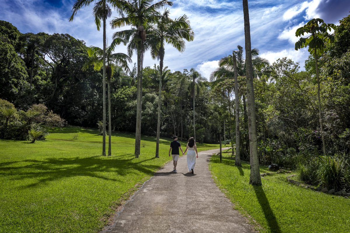 Casal caminham de mãos dadas entre altas palmeiras imperiais sob céu azul, ensaio pré-wedding no Jardim Botânico de São Paulo.