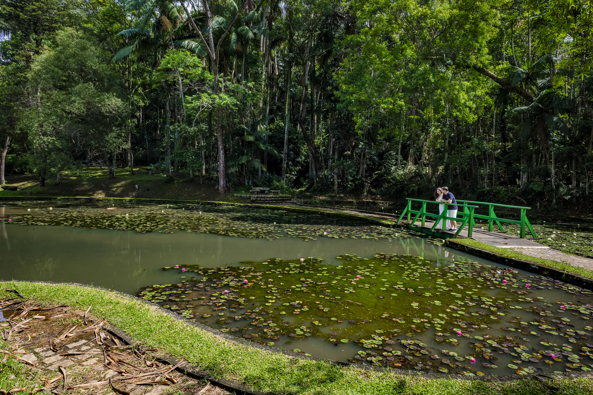Casal parados na ponte verde observando o lago de ninféias (Nymphaea), em ensaio pré-wedding no Jardim Botânico de São Paulo.
