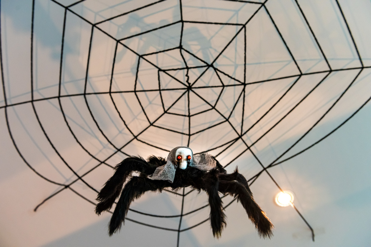 foto de aniversário infantil Halloween em alphaville. decoração Halloween. fotografia aniversário Halloween. decoração dia das bruxas. foto decoração infantil Halloween.