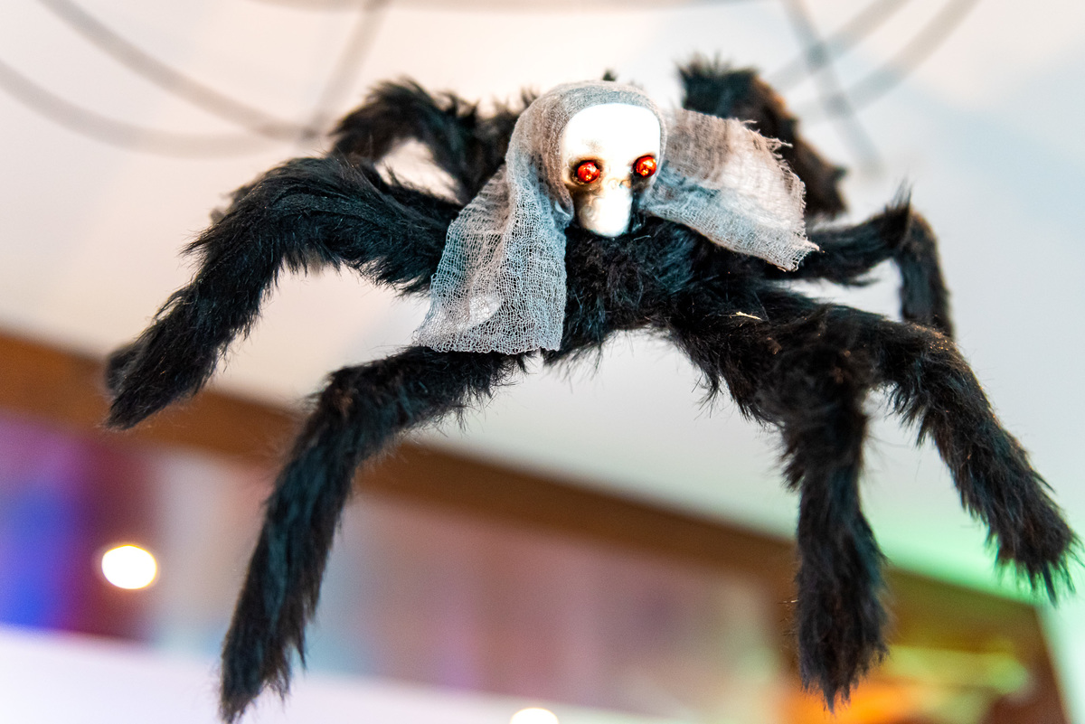 foto de aniversário infantil Halloween em alphaville. decoração Halloween. fotografia aniversário Halloween. decoração dia das bruxas. foto decoração infantil Halloween.