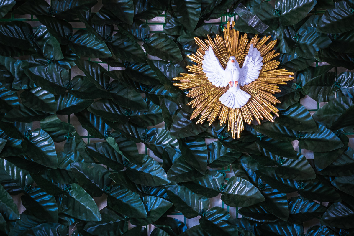 fotografia de batizado. fotografia de batizado em alphaville. fotografia de batizado na igreja nossa senhora de lourdes alphaville. fotografia de batizado na igreja nova de alphaville. fotografia de batizado com imersão.