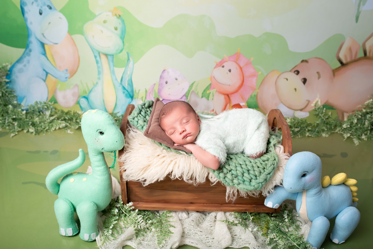 Dino + Berço de Madeira