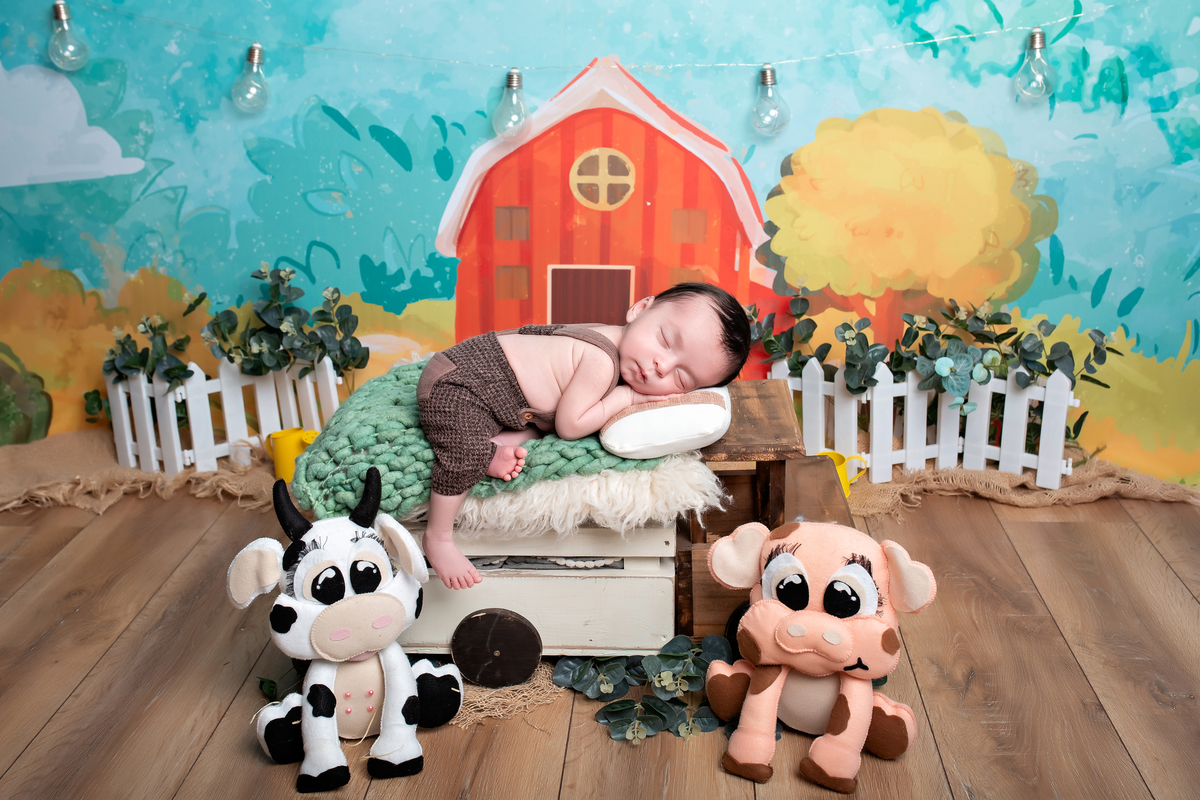 Fazendinha + Caminhão