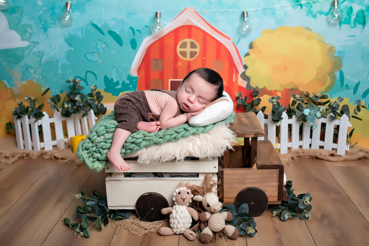 Fazendinha + Caminhão