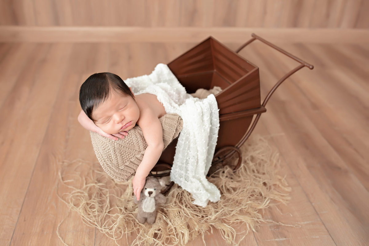 Madeira + Carrinho de Ferro