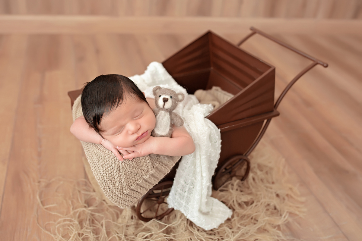 Madeira + Carrinho de Ferro