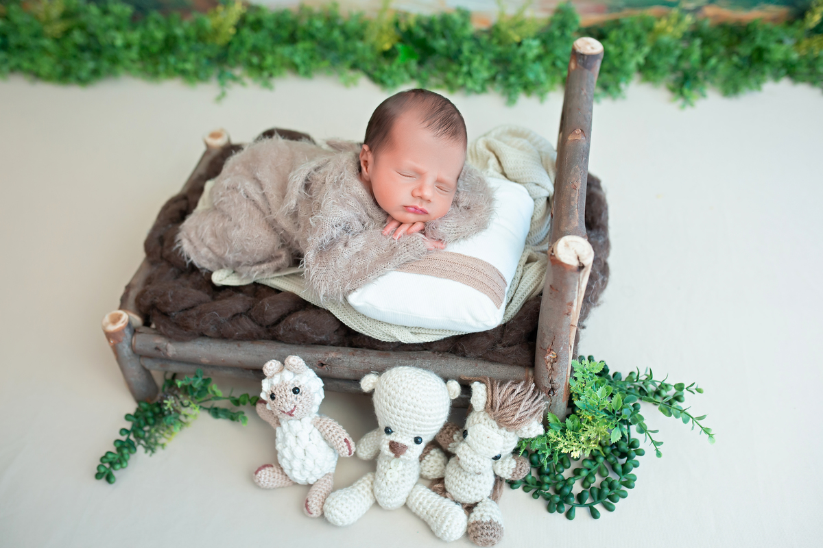 Floresta + Cama Tronco