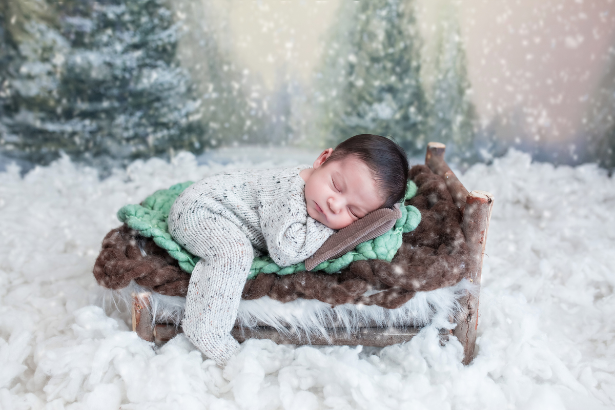 Inverno + Cama Tronco