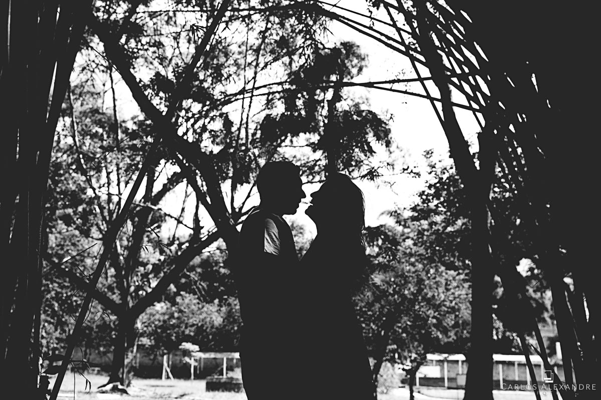 contra luz do casal envoltos por bambu