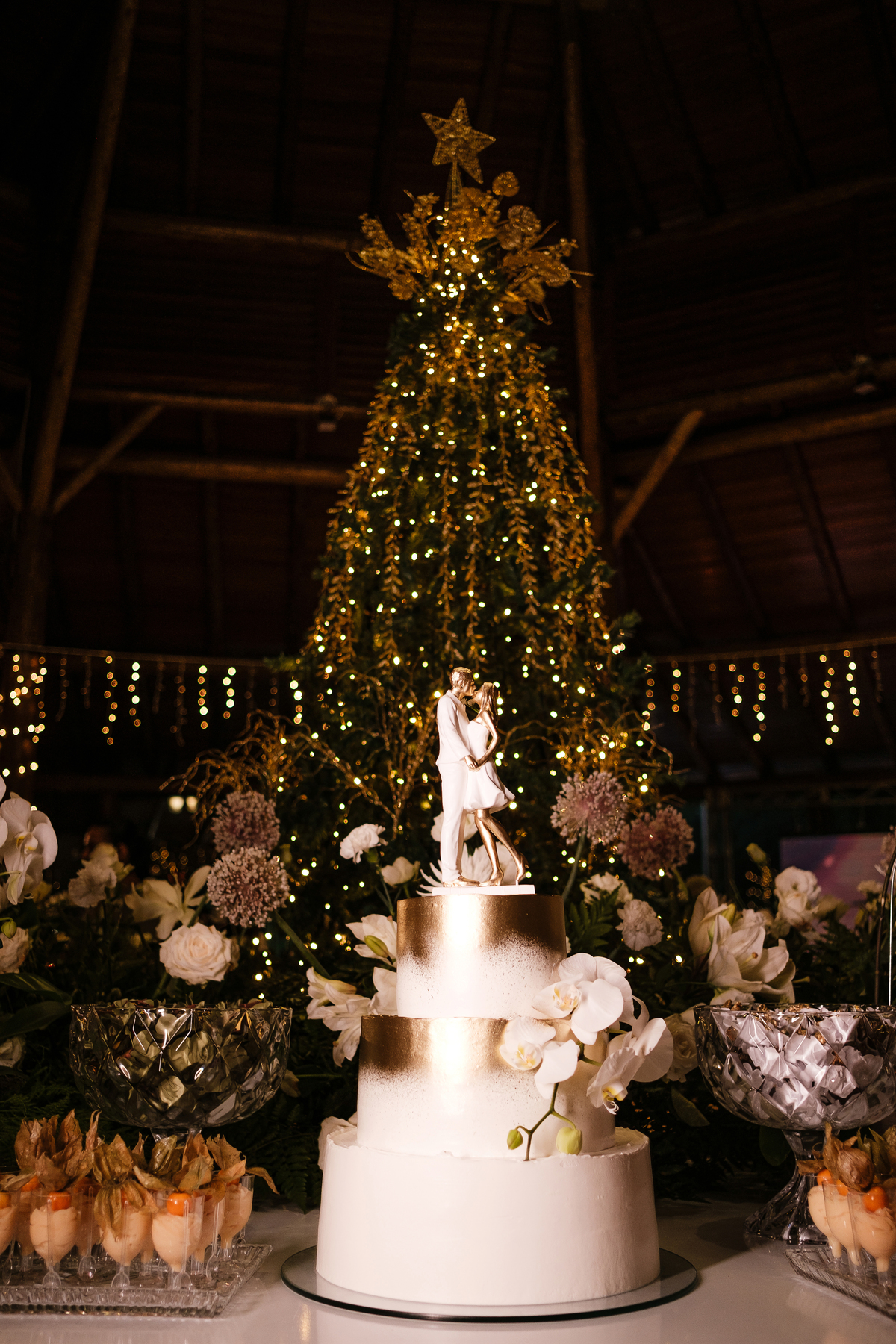 casamento beatriz e rodrigo quinta do cedro tres coracles mg Carlos Alexandre foto cidinha reis afranio noivas fotografo sul de minas