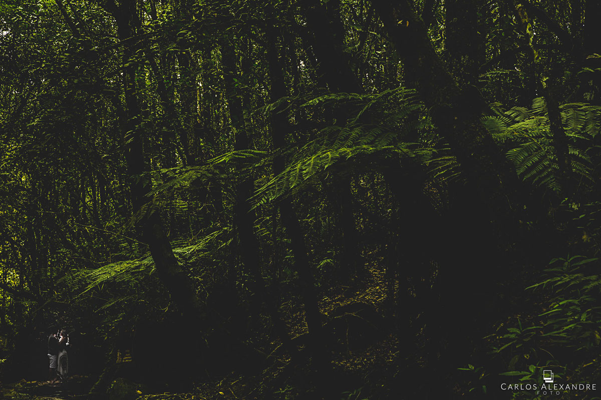 belíssima paisagem verde na cachoeira que rodeia com árvores e bosque  em seu ensaio de pré casamento em são thomé das letras MG fotógrafo em três corações carlos alexandre foto