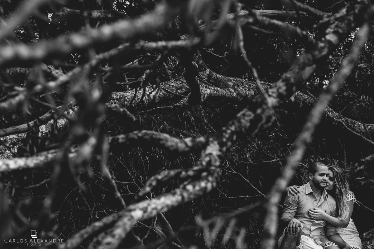 moldura de galhos de uma árvore envolta de um jovem casal apaixonado