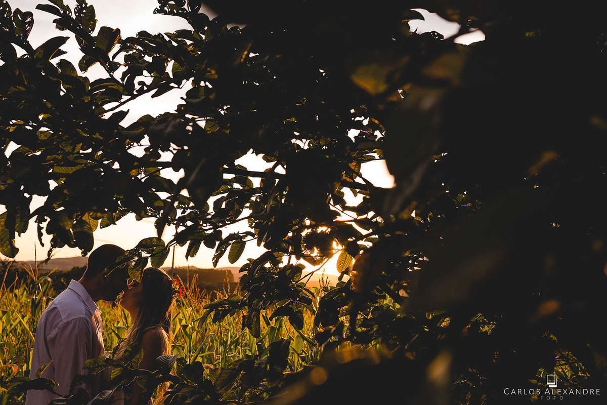folhas emolduram namorados em seu ensaio, com luz de recorte os envolvendo e iluminando somente o necessário