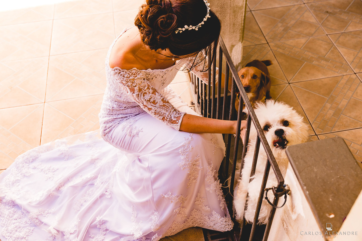 noiva acariciando e brincando com seus cachorros após o casamento, fotos em três corações Carlos Alexandre Lia Noivas
