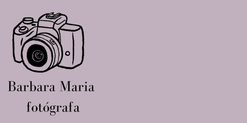Logotipo de Barbara Maria Soares do Nascimento Paulo
