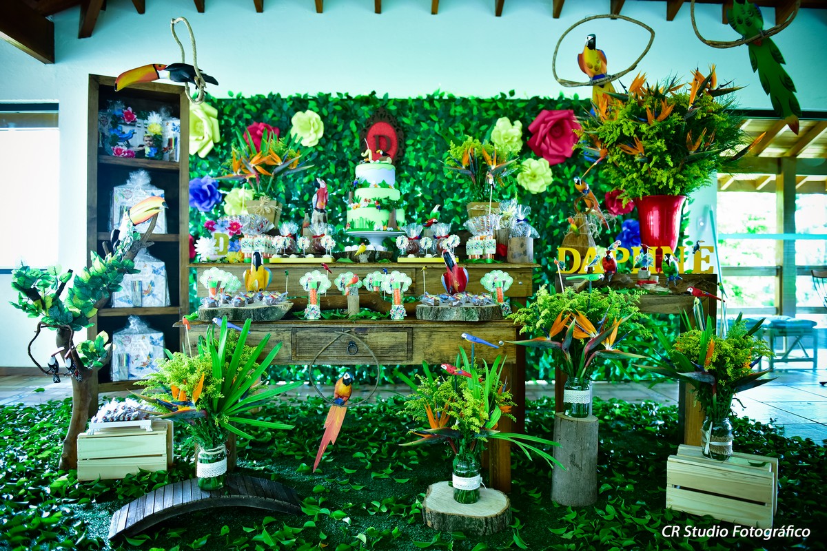 aniversário pássaros