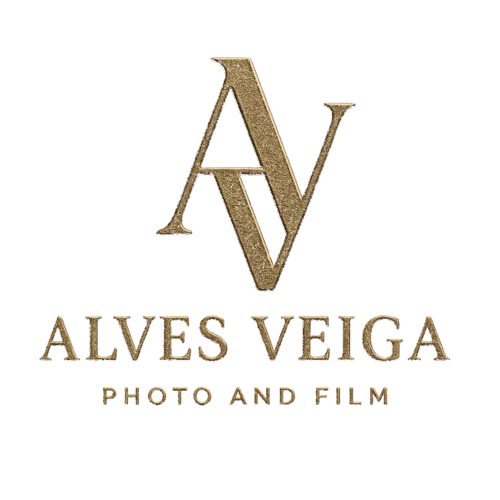 Logotipo de Michel Veiga