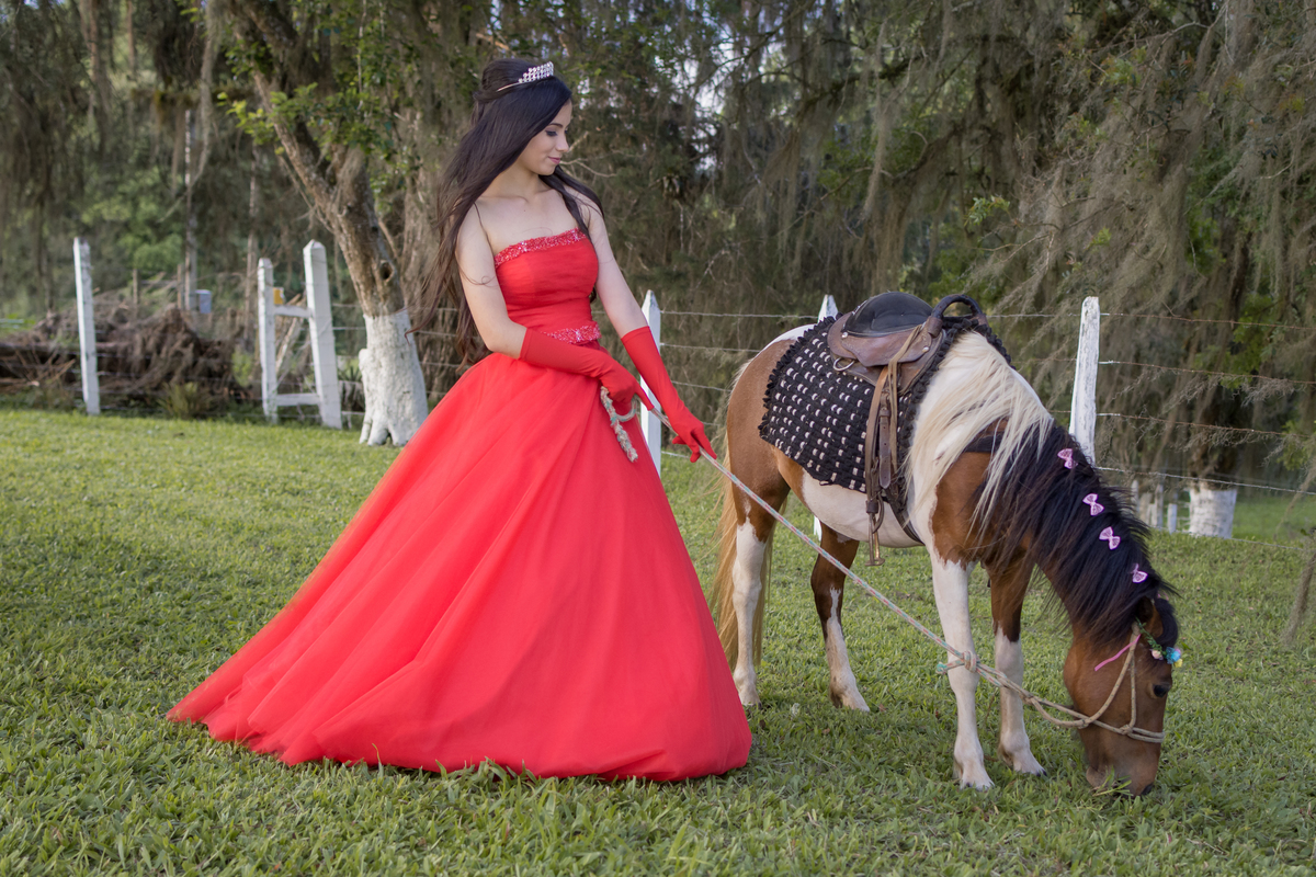 Parque Tanguá - Book dos 15